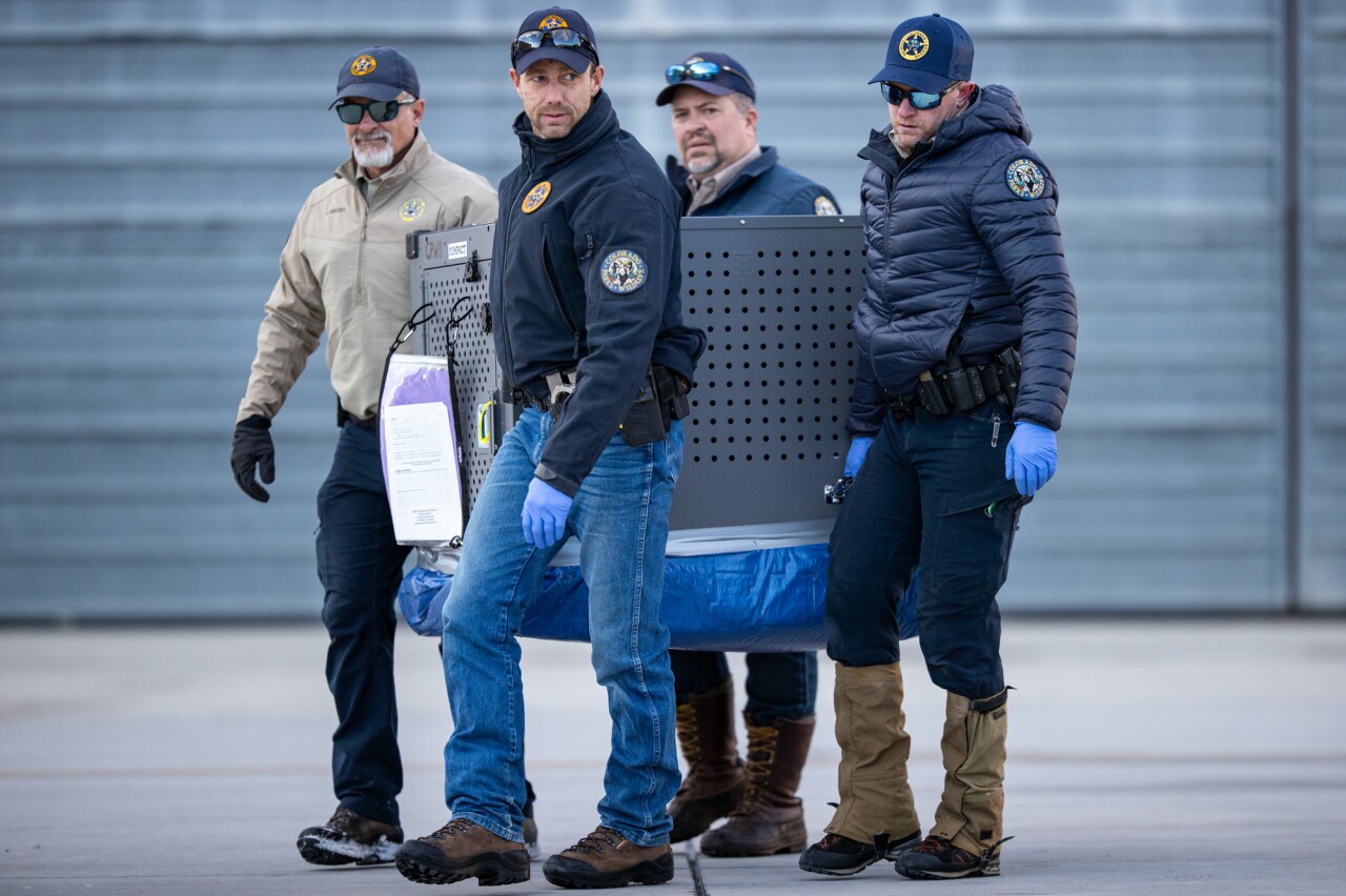 cpw carrying wolf crate_2025 release_Colorado Parks and Wildlife