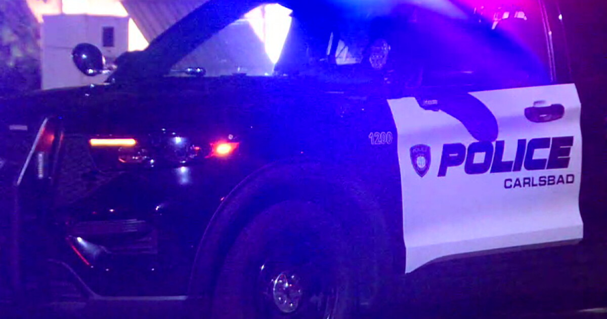 Driver arrested in Carlsbad crash that killed woman