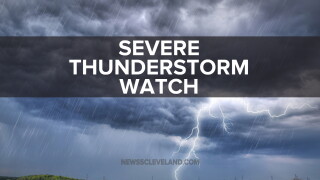 SEVERE T-STORM WATCH