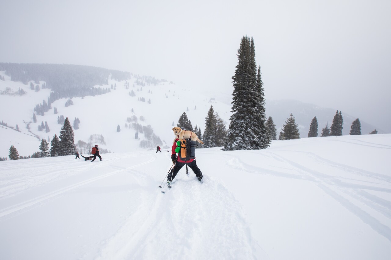 C-RAD Winter Course 2020_Dave Camara