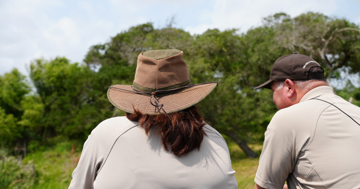 Aransas National Wildlife Refuge plans to expand through land protection grant - Vimarsana News