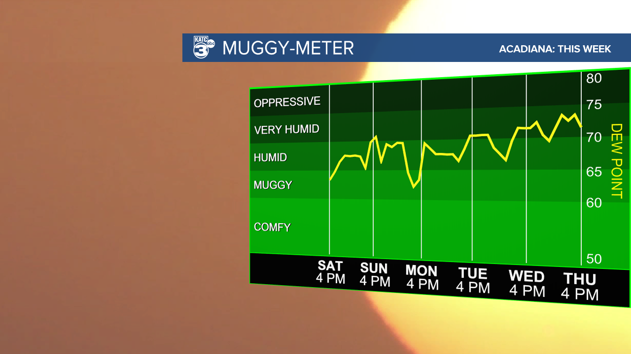 Muggy Meter-1607543012179.png