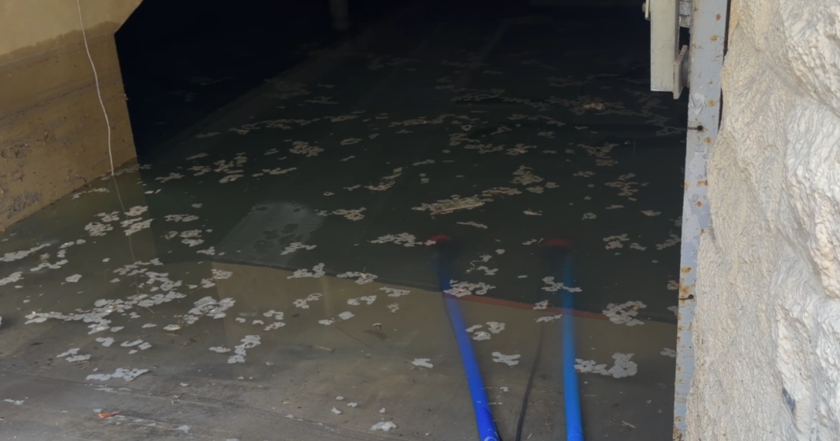 Mission Beach flooding: King tides flood alleyway and underground parking