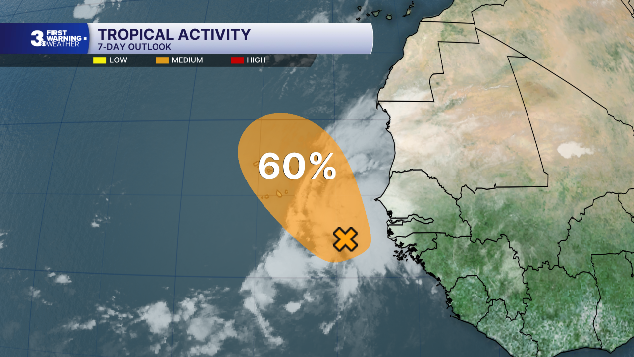 Tropical Activity.png