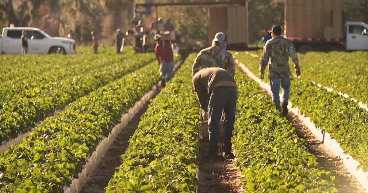 Charter captains push back against Florida farm bills over free speech concerns
