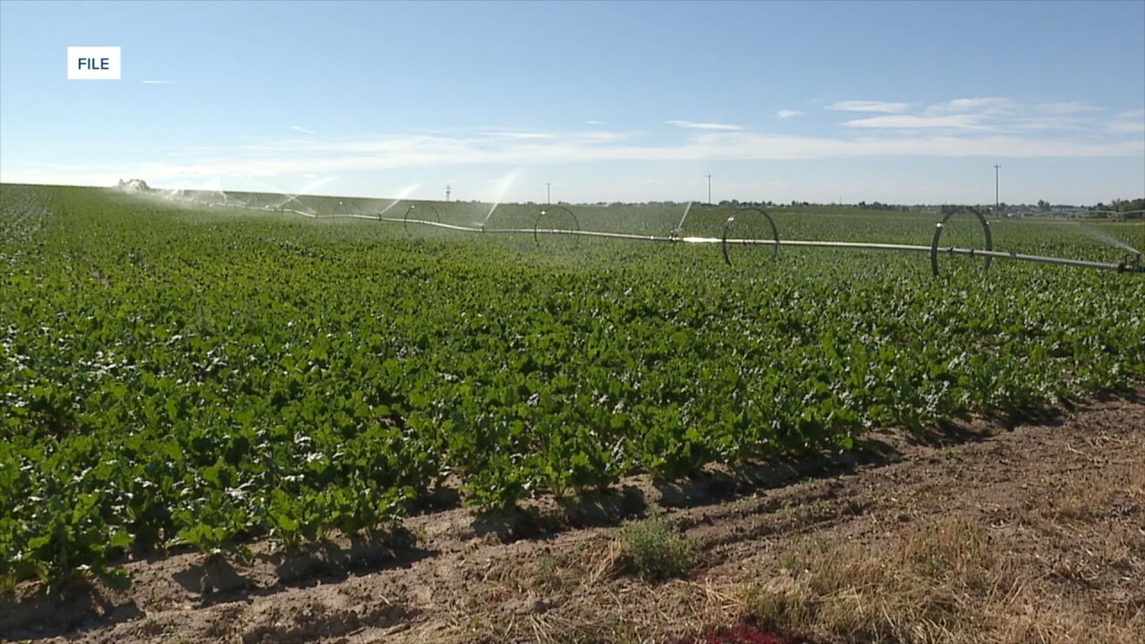 Farming
