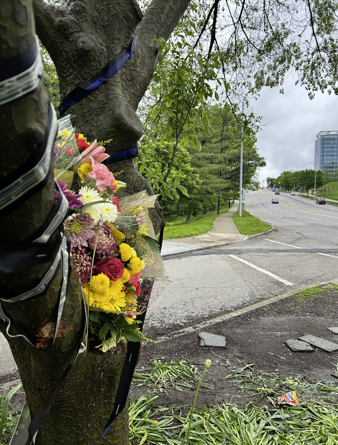 Flowers and ribbons are being left on a tree near the intersection of Friday's crash.
