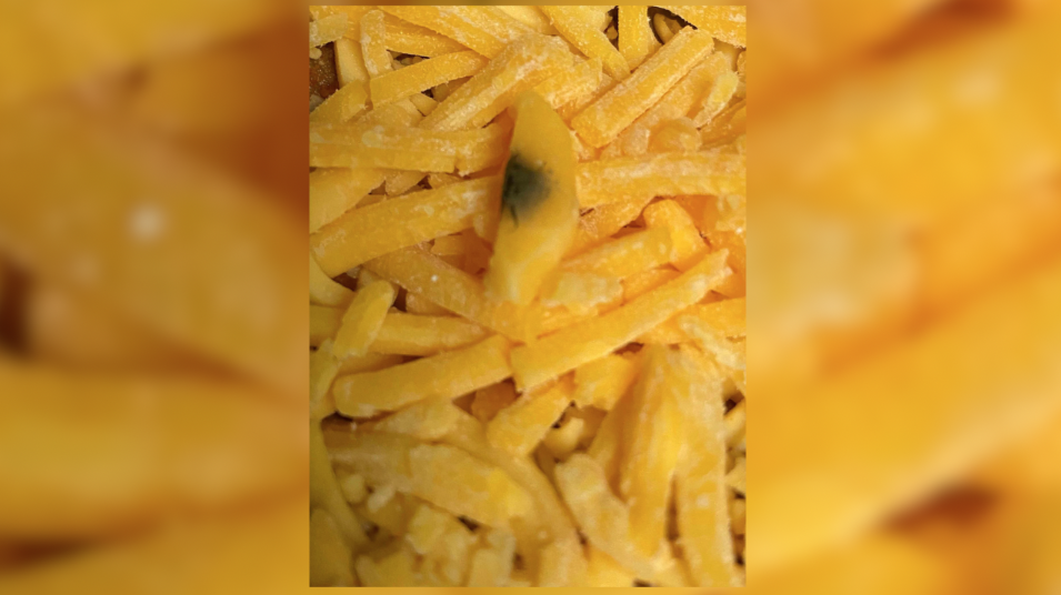MoldyCheese2-FlexPro.png