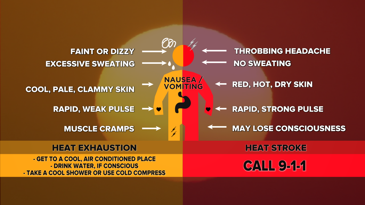 Heat Exhaustion vs Heat Stroke.png
