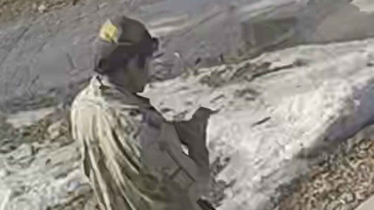 Sexual assault suspect