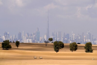 Dubai Daily Life