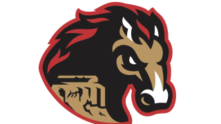 Mustangs New 3.png