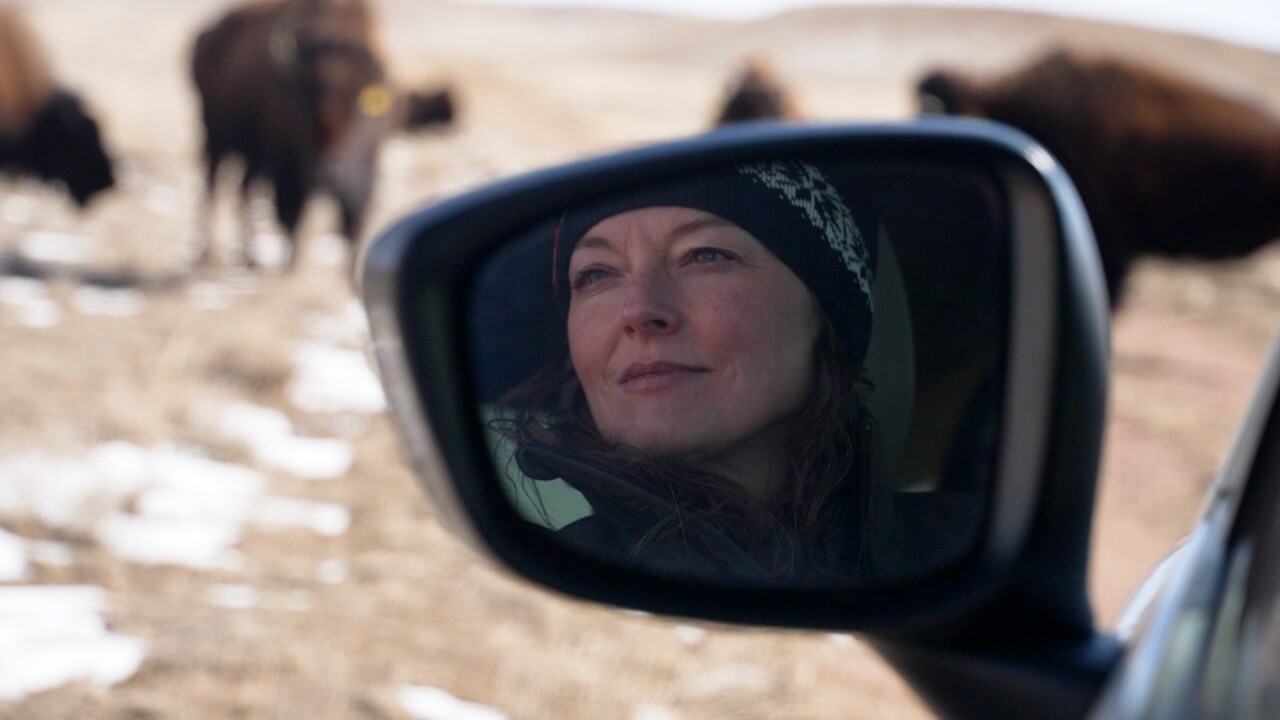 Jennifer looking out on bison.jpg