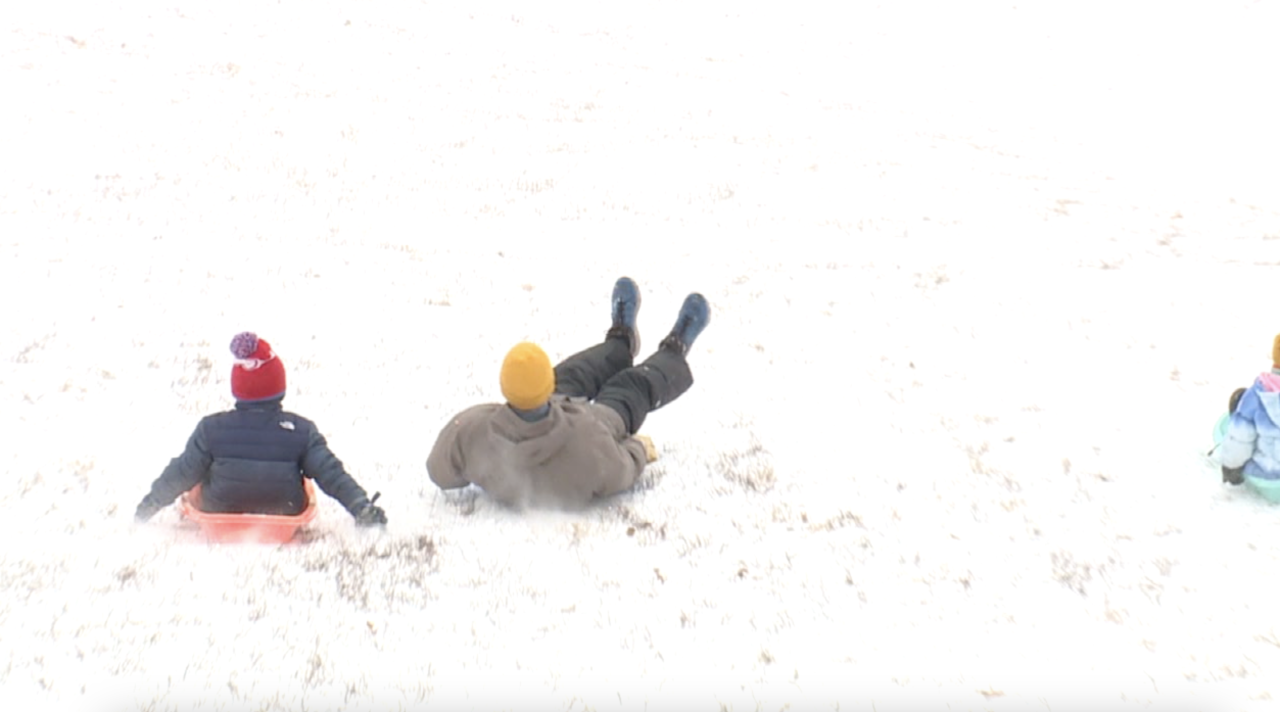Schloegel Family Sledding