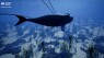 Could This New Fishing System Save Whales From Extinction?