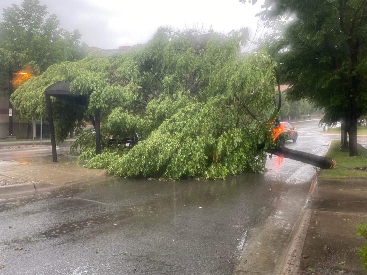 Sunday storm causes flooding and damage in Helena