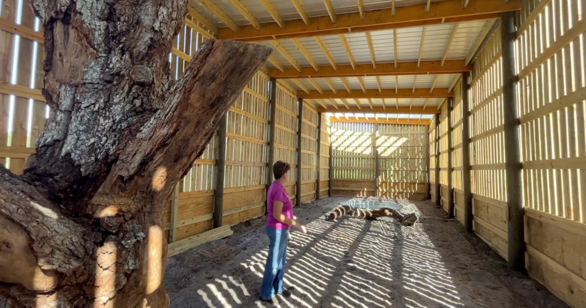 Flight barn built to help send injured birds back to the wild - Vimarsana News