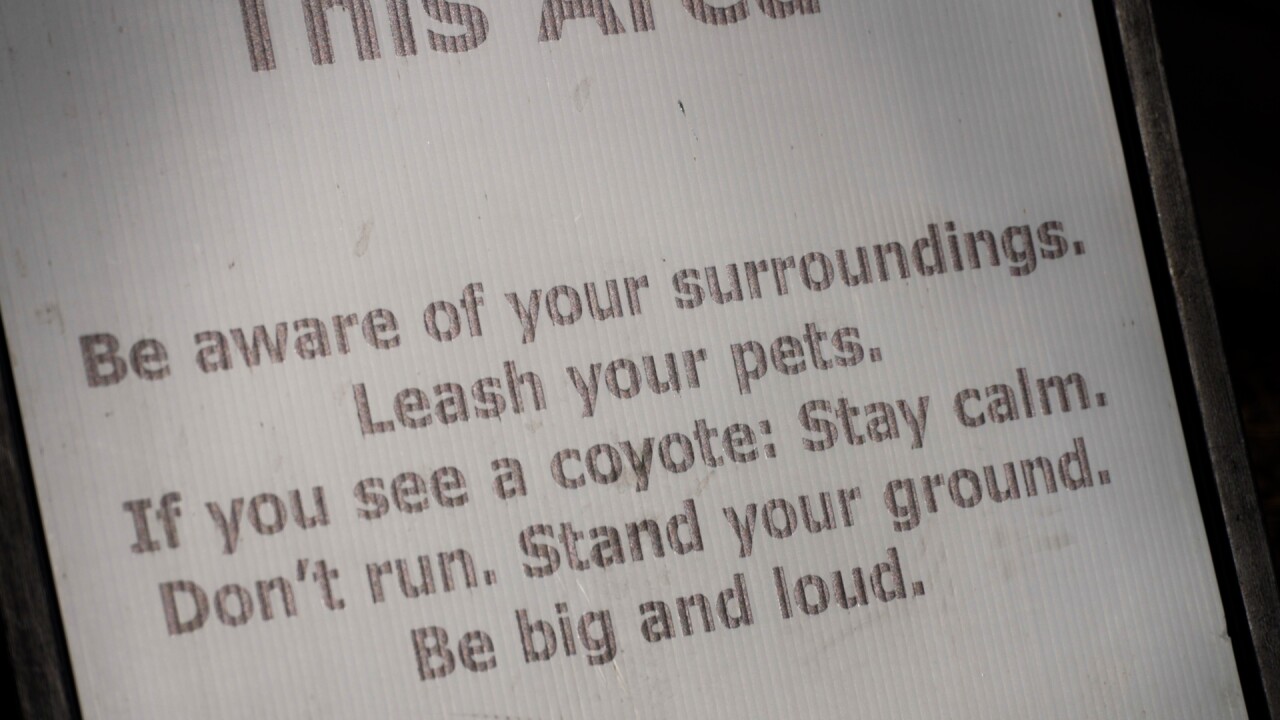 tips for community.jpg