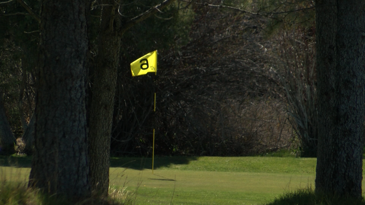 Norwegian Wood and Highlander revel in busy summer, prepare for another