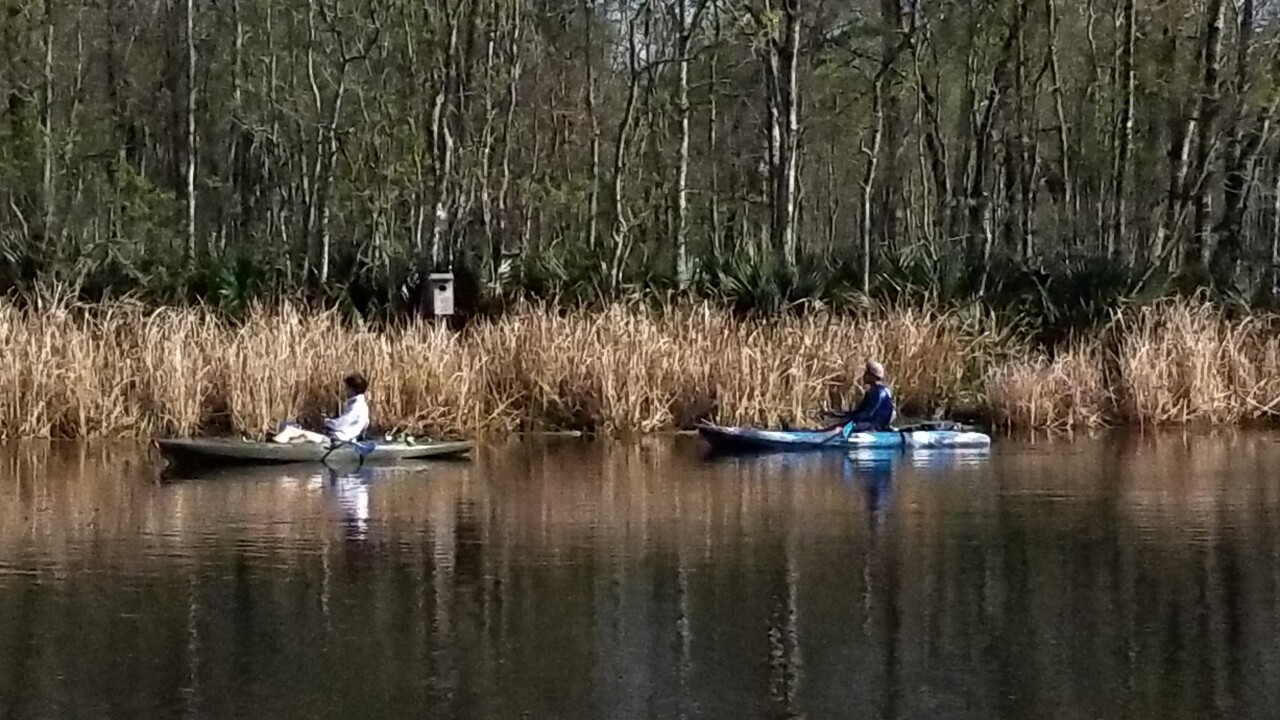 20180304_153704.jpg