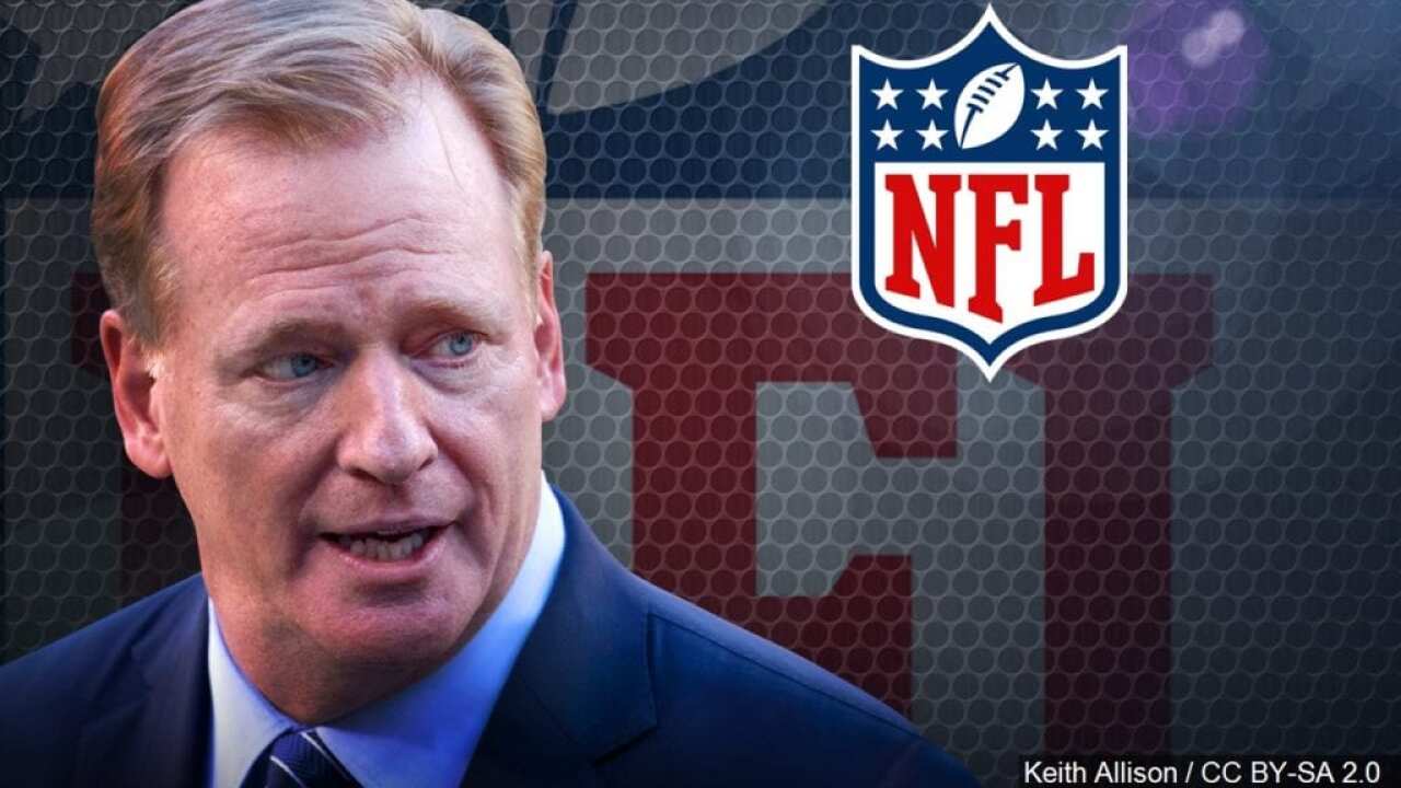 Goodell addresses no-call in Super Bowl press conference
