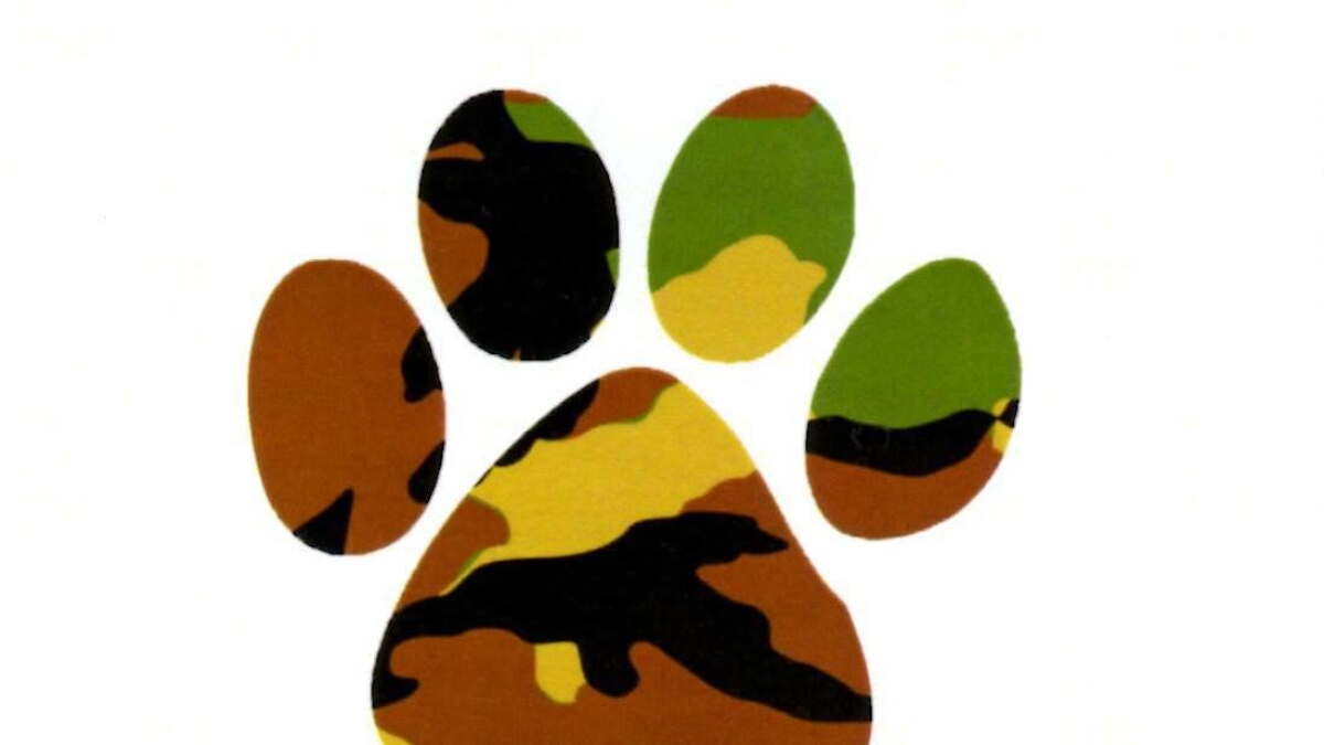 "I would be lost': Non-profit pairs pets with veterans