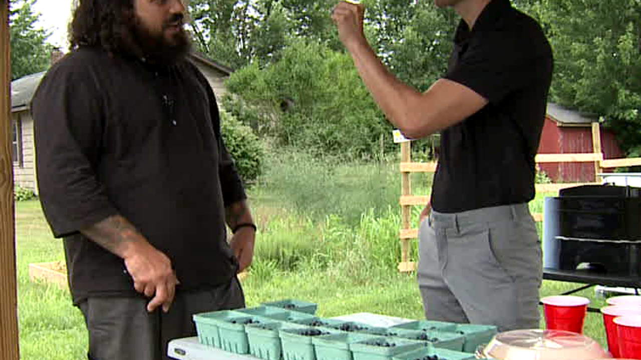 MISSION ON THE FARM: Bangor blueberry farmer giving vets free pints 