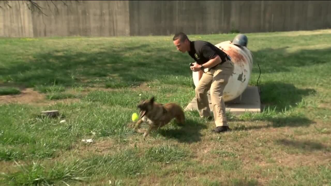 Poster image - 2021-08-05T224826.495.jpg