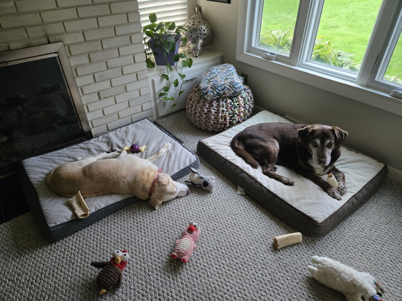 Sugar and Spice in new home