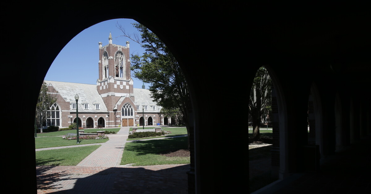 Snake knocks out power to thousands of Spiders at the University of ...