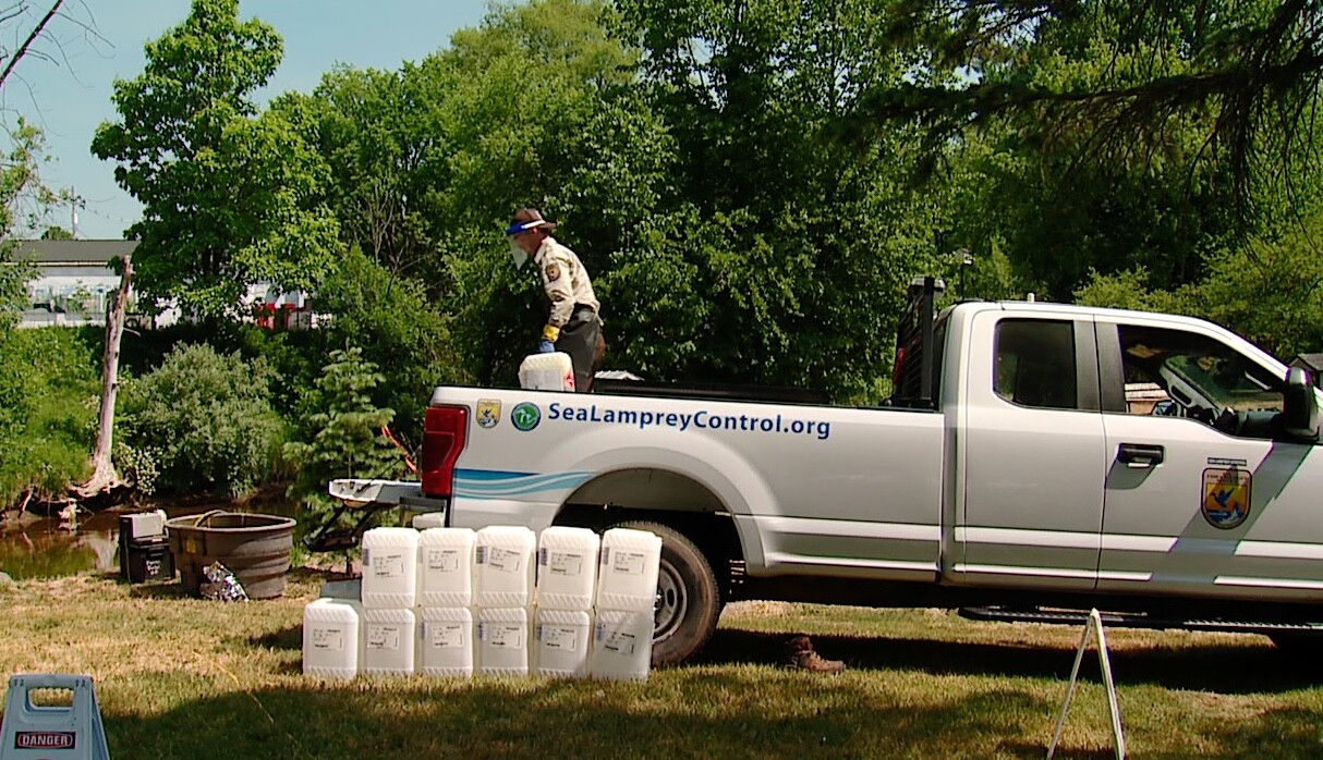 U.S. Fish and Wildlife Sea Lamprey Control.jpeg