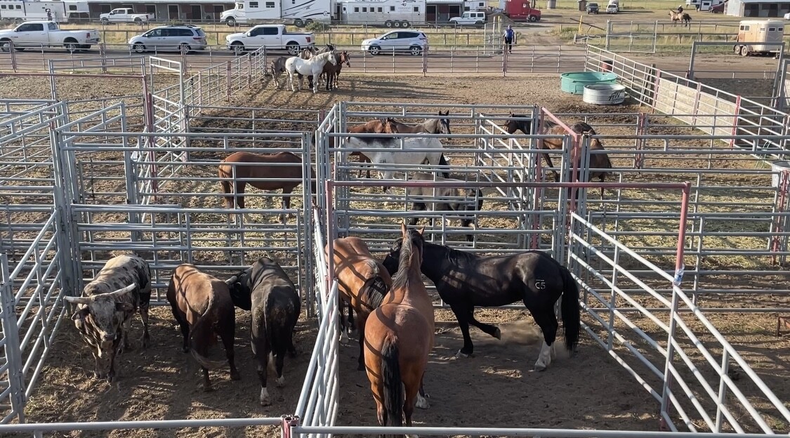 Caleb Bennett: before and after the chutes