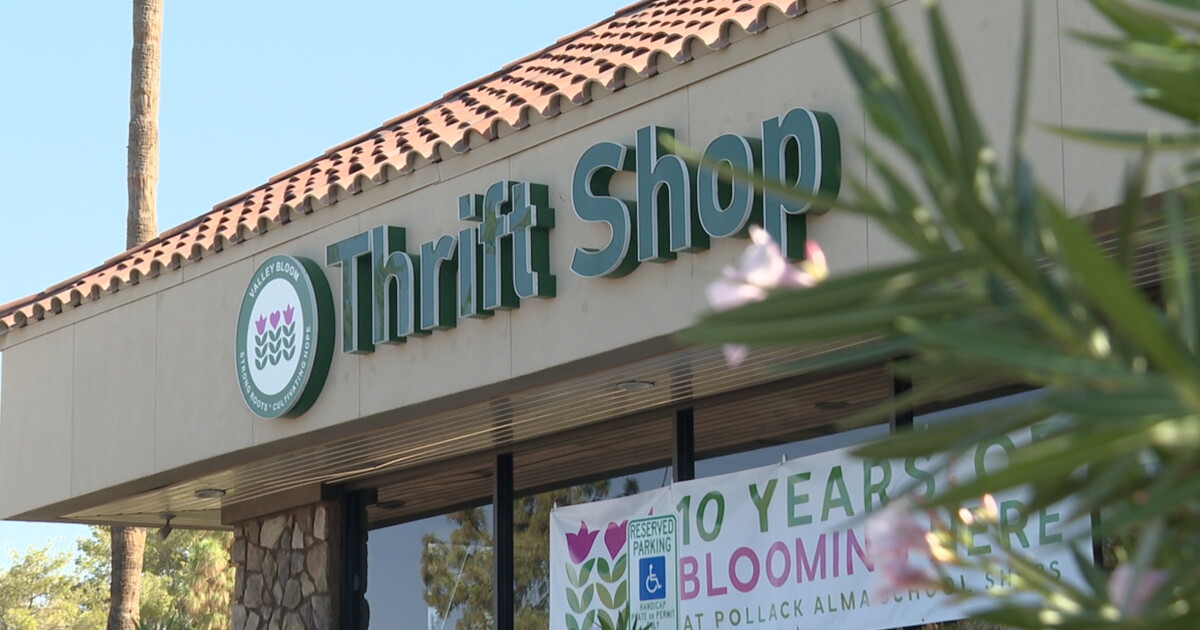 Valley Bloom celebrates 10 years of thrift store on Alma School Road