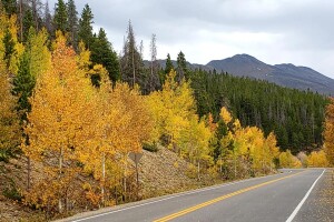 2020 aspens_Breckenridge by Janette Jaynes