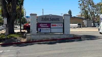 palm square.jpg