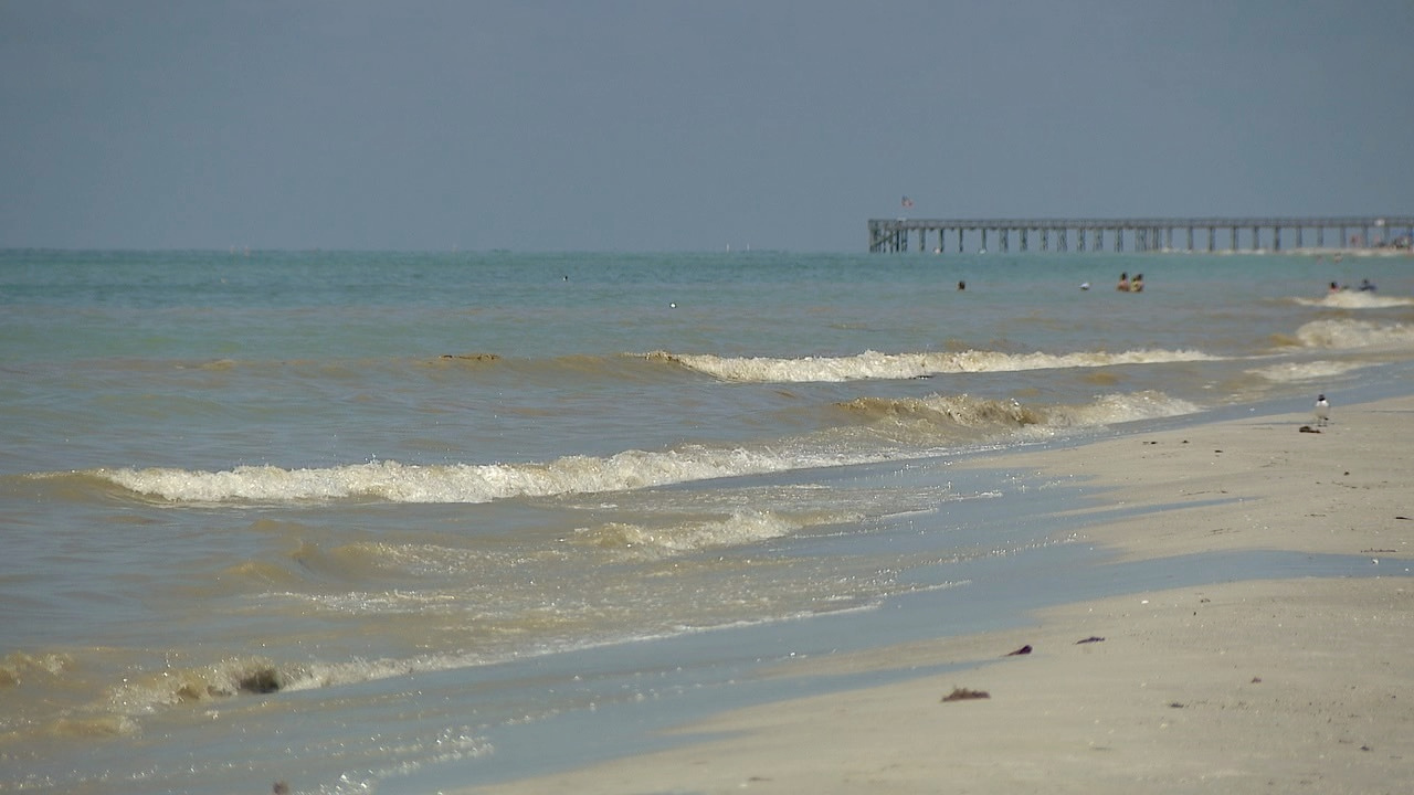 PINELLAS COUNTY BEACHES
