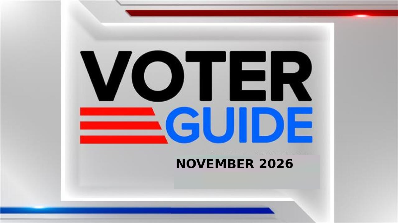 Election Guide 2020 - Banner