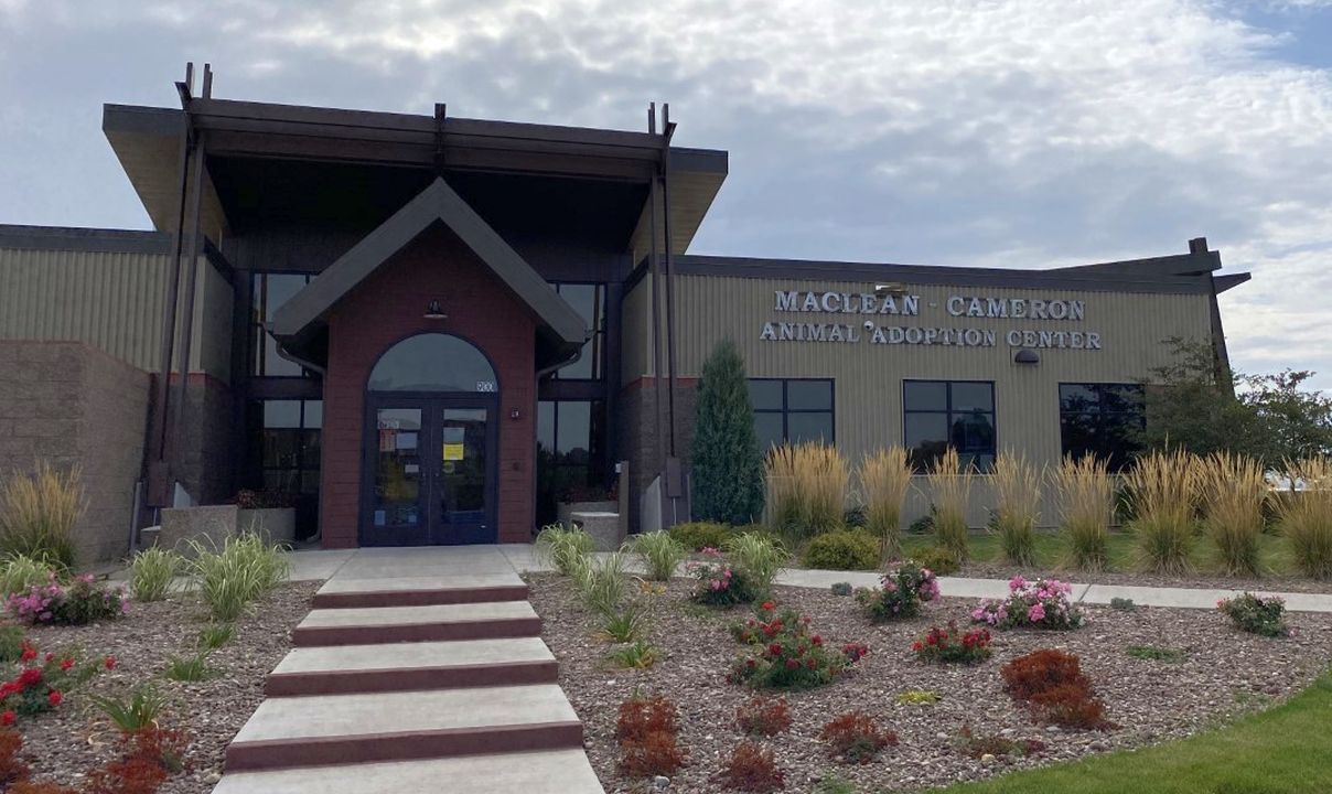 Maclean-Cameron Animal Adoption Center