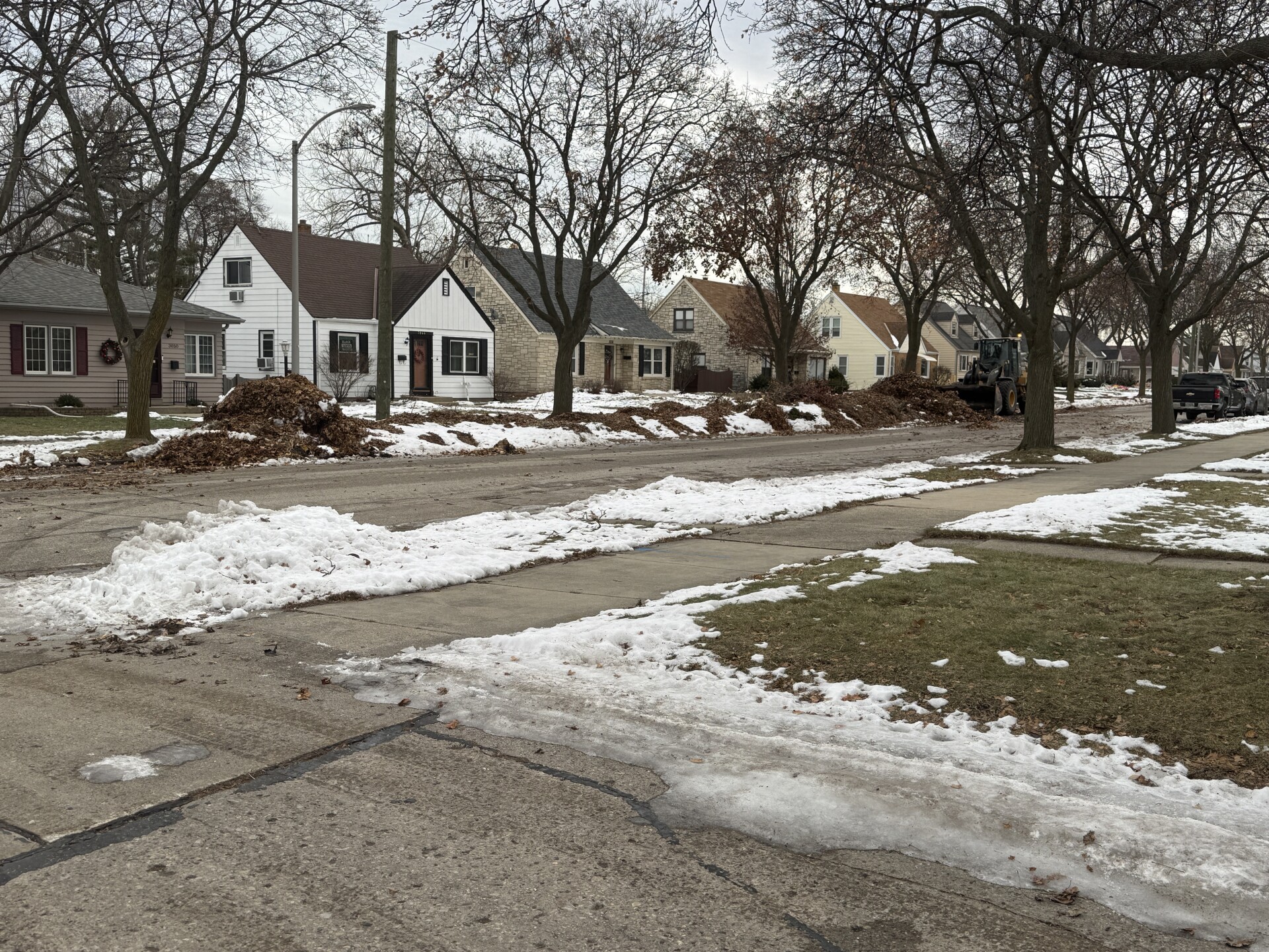 The leaf pile on N 89th St. 