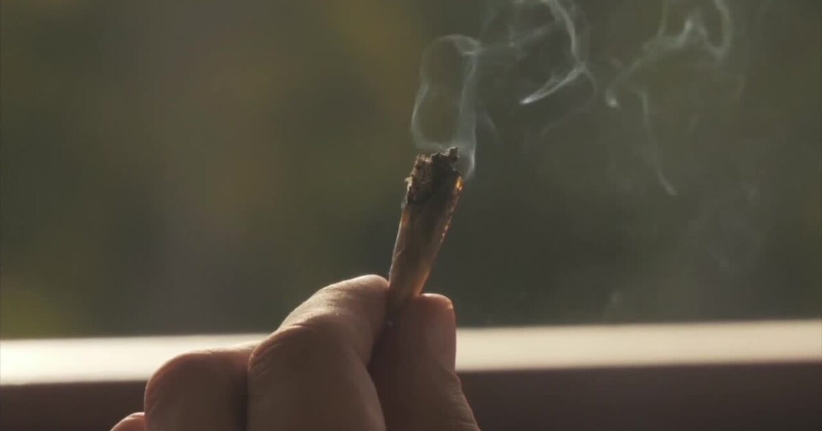 Idaho marijuana citizen initiative faces legislative challenge