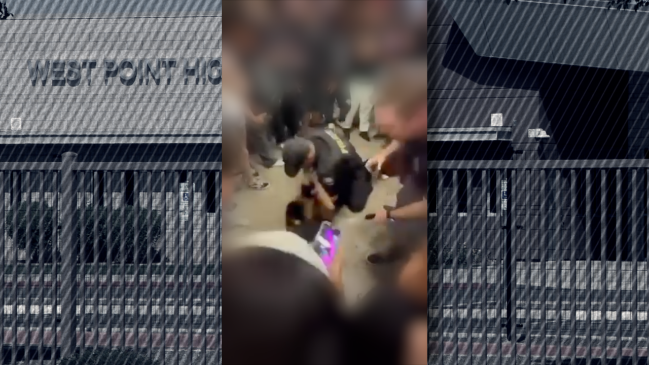 WPHS Fight Pic.png