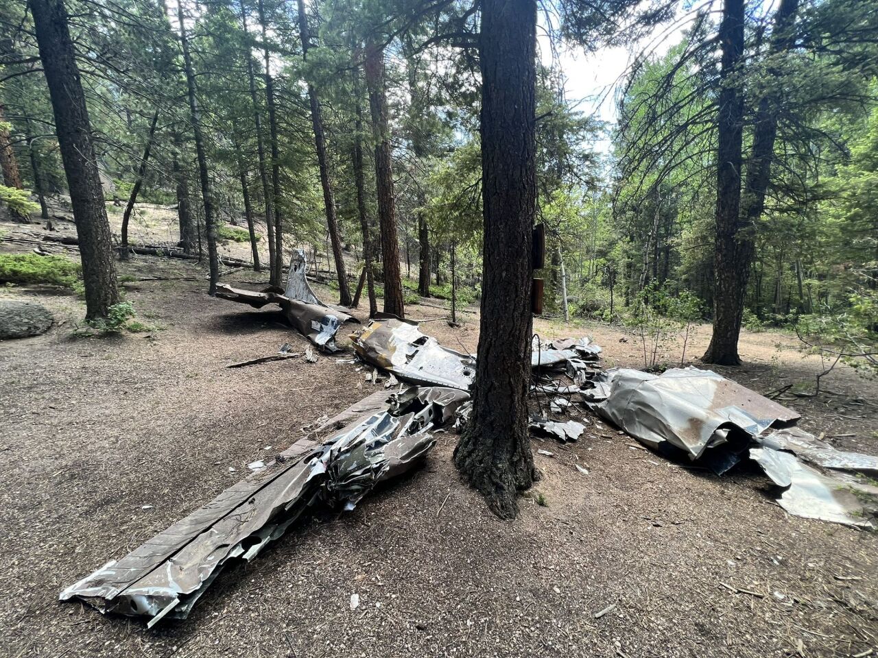 Joe Darpino_Harrison crash 4.jpeg