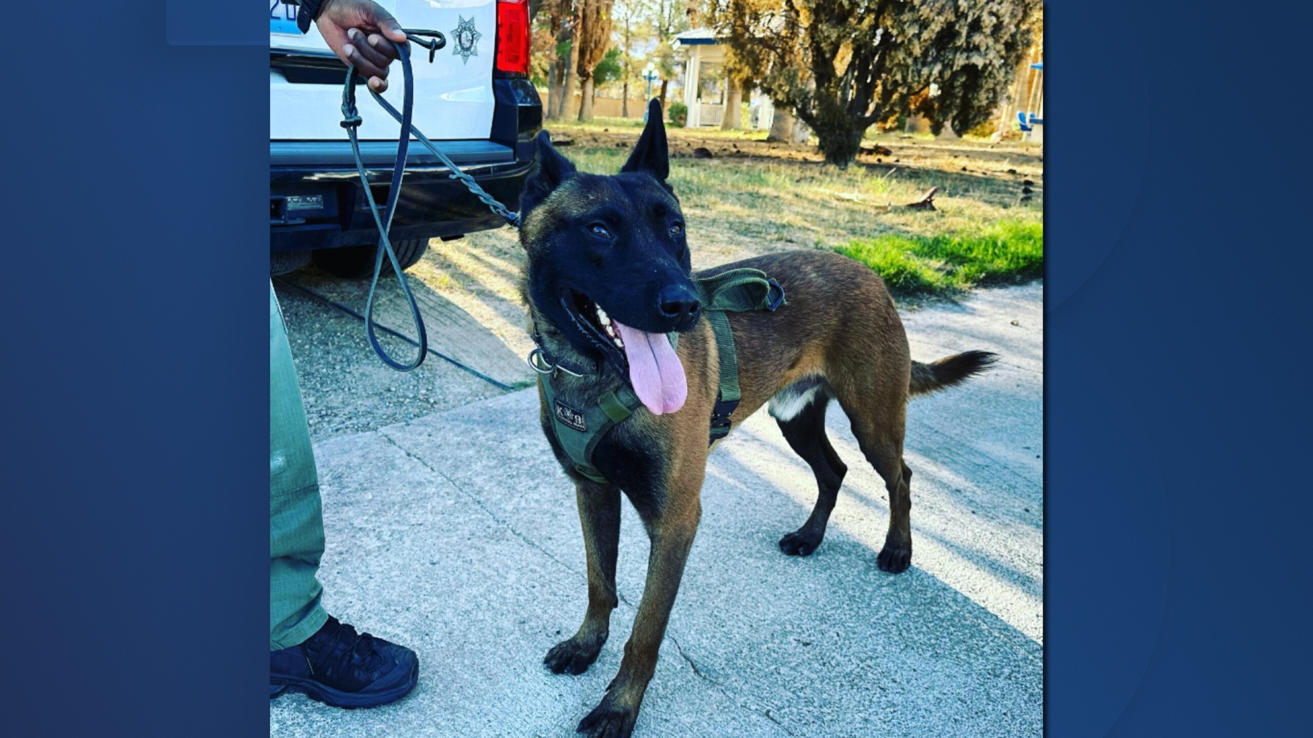 K9 officer injured during SWAT standoff in downtown Las Vegas