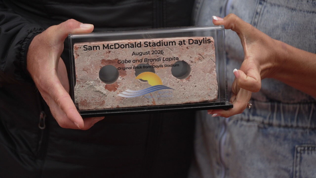 daylis17_2.33.2.jpg