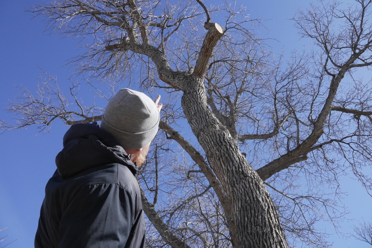 Parks and Recreation urban forestry supervisor