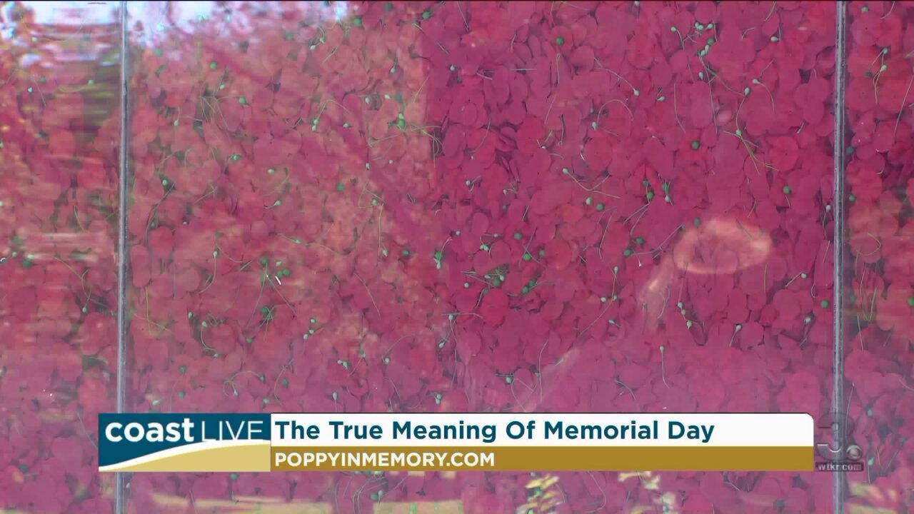 Commemorating the True Significance of Memorial Day on Coast Live