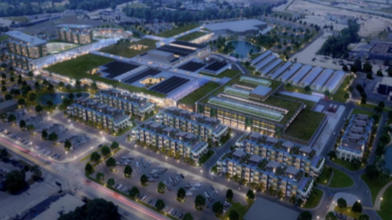 02-11-24 the garden.jpg