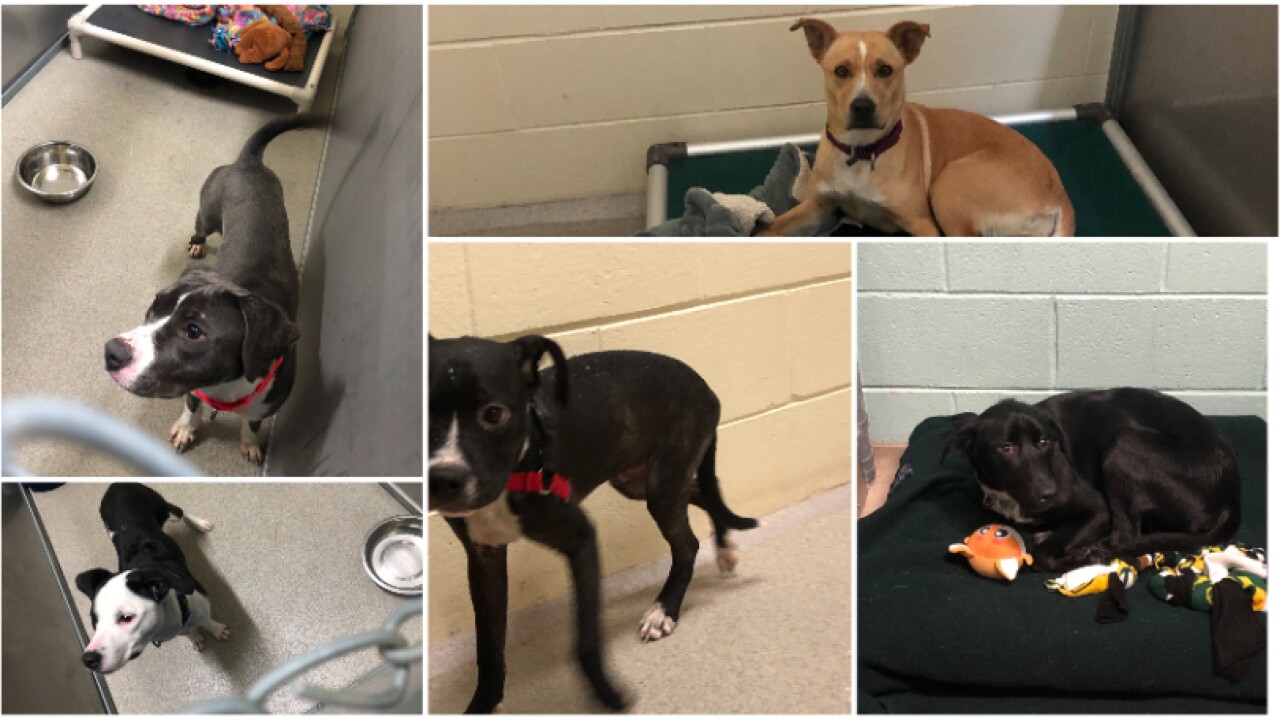 Collage Maker-15-Nov-2022-01.45-PM.jpg