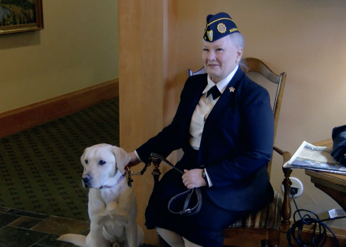 Bozeman Veteran Service Dog