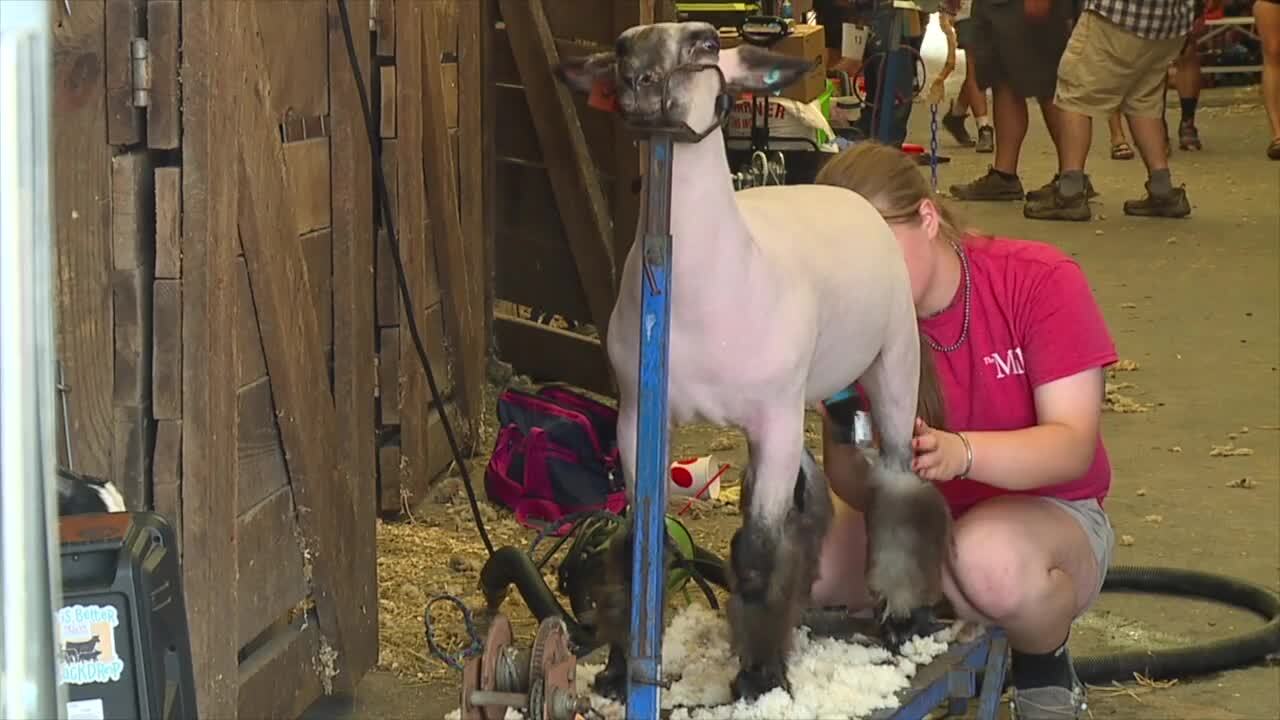 Harford County Farm Fair in full swing